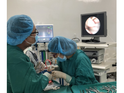 CHUYÊN KHOA TAI MŨI HỌNG – BVĐK TÂM MINH ĐỨC