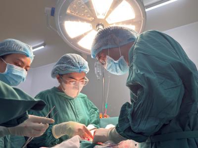 Điều trị thoát vị bẹn nghẹt bằng phẫu thuật Lichtenstein