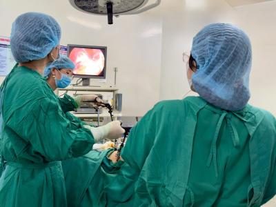 Khối u buồng trứng “toàn tóc” – hiện tượng y khoa gây tò mò nhưng không hiếm gặp